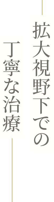 拡大視野下での丁寧な治療